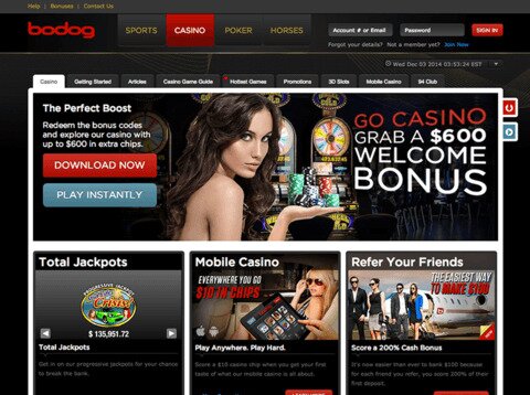 bodog 480 358