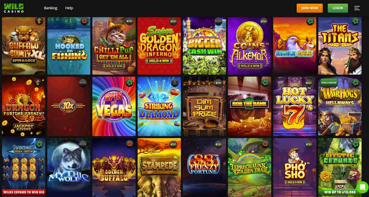 wild-casino-gambling-site-best-online-casinos-usa