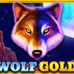 Wolf Gold